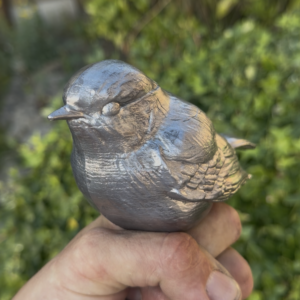 Robin